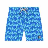 Read Tom & Teddy USA & Canada Reviews